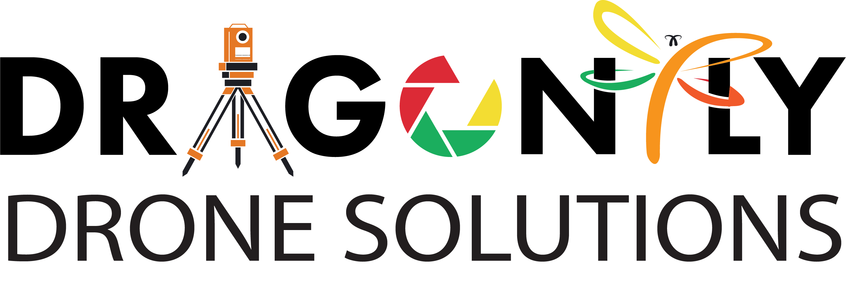  Dragonfly Solutions Group